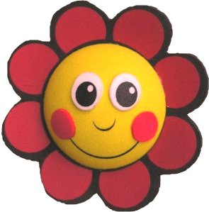 Red Smiley Flower